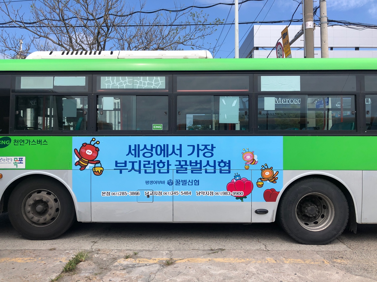 꿀벌신협 버스 광고사진